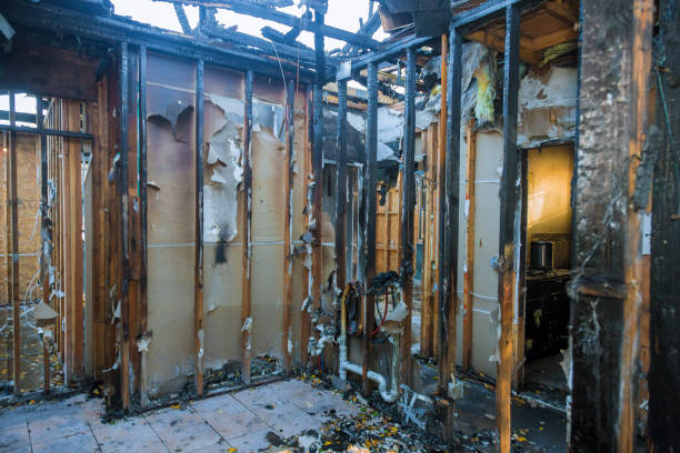Professional Emergency Fire Cleanup technician working in Lochmoor Waterway Estates, FL